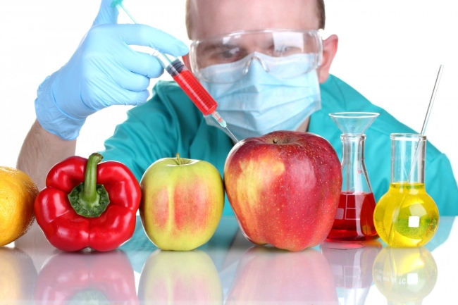 geneticky modifikované potraviny